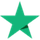 Trustpilot logo